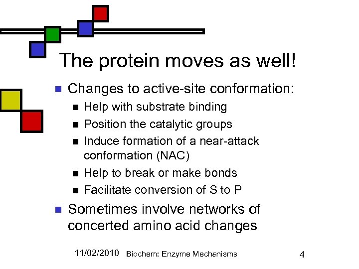 The protein moves as well! n Changes to active-site conformation: n n n Help
