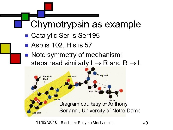 Chymotrypsin as example n n n Catalytic Ser is Ser 195 Asp is 102,