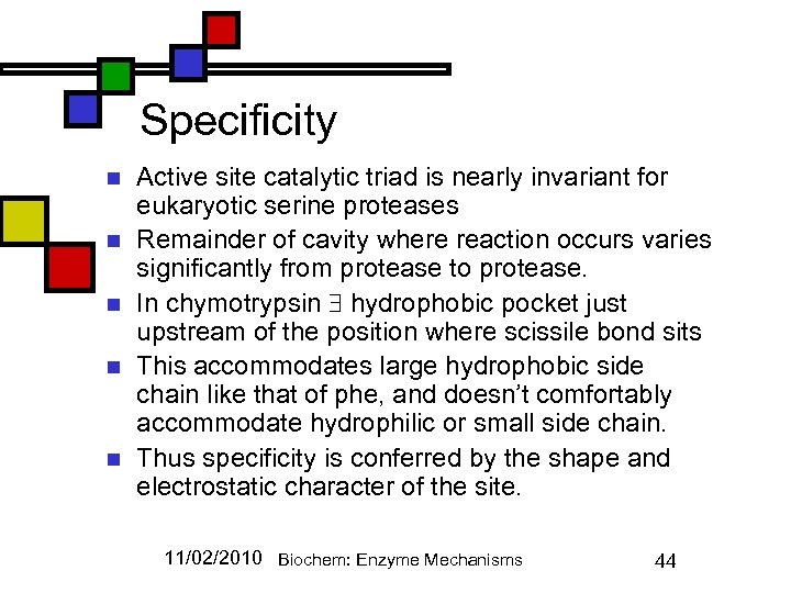 Specificity n n n Active site catalytic triad is nearly invariant for eukaryotic serine