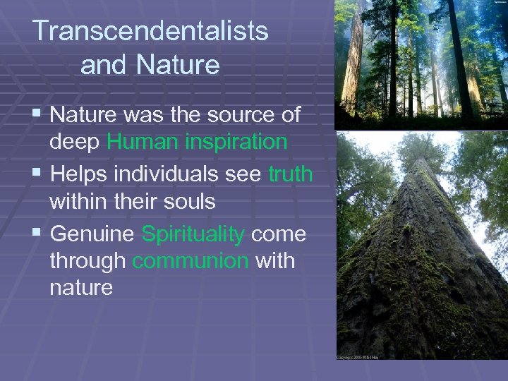 Transcendentalists and Nature § Nature was the source of deep Human inspiration § Helps