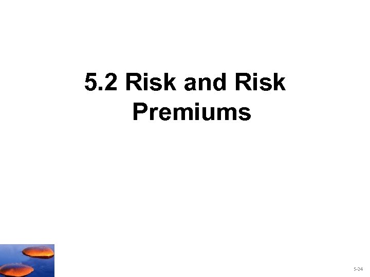 5. 2 Risk and Risk Premiums 5 -24 