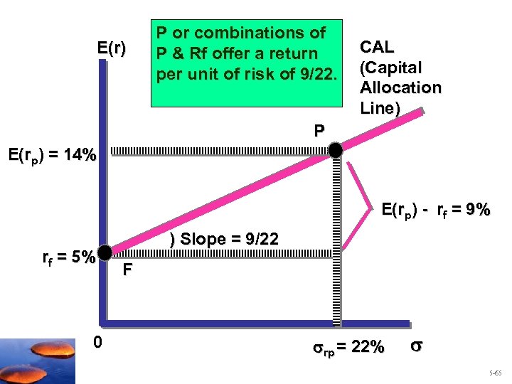 E(r) P or combinations of P & Rf offer a return per unit of