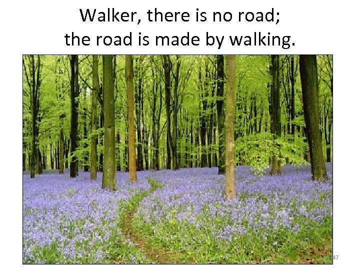 Walker, there is no road; the road is made by walking. 47 