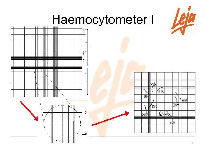 Haemocytometer I 7 