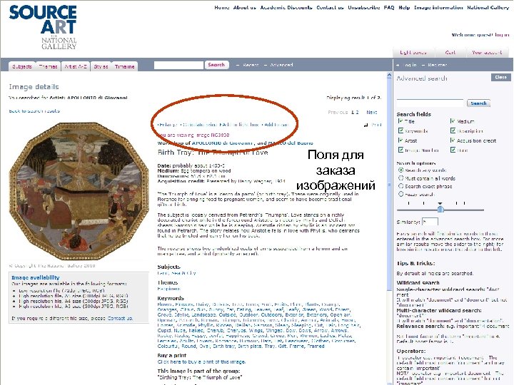 Поля для заказа изображений 