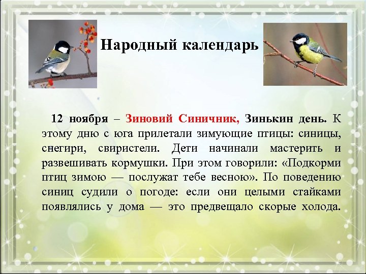 Народный календарь 12 ноября – Зиновий Синичник, Зинькин день. К этому дню с юга