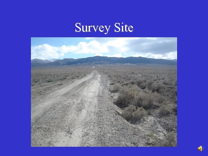 Survey Site 