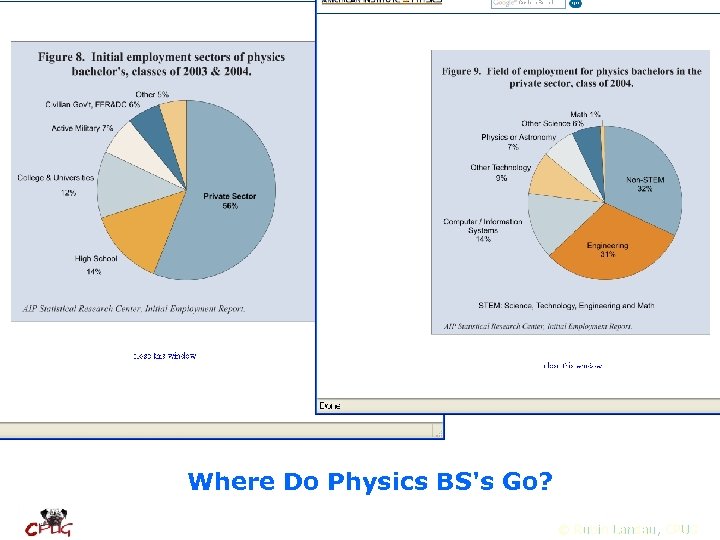 Where Do Physics BS's Go? © Rubin Landau, CPUG 