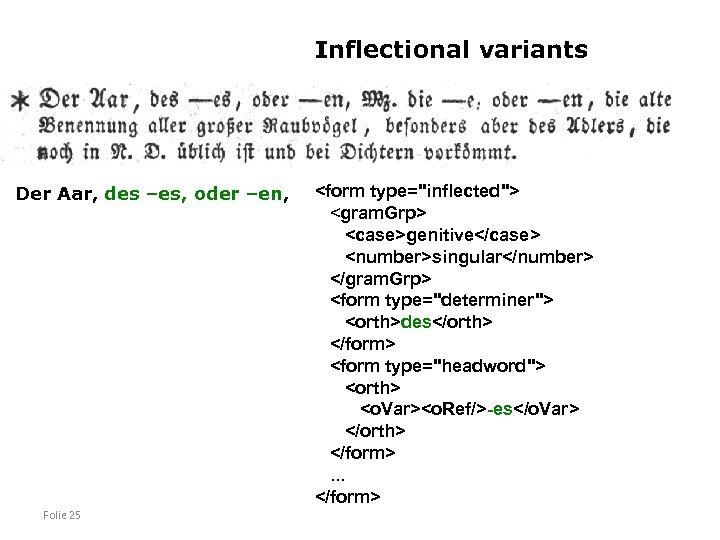 Inflectional variants Der Aar, des –es, oder –en, Folie 25 <form type="inflected"> <gram. Grp>