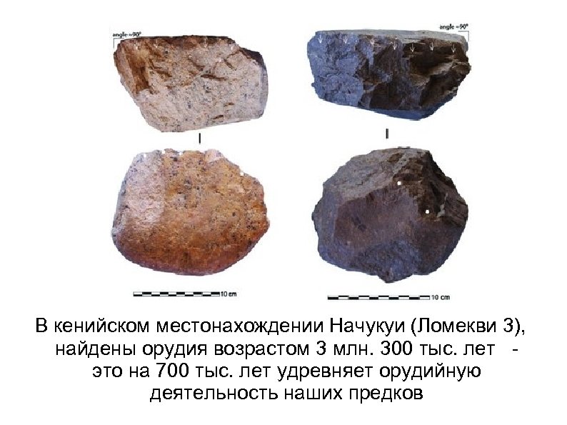 В кенийском местонахождении Начукуи (Ломекви 3), найдены орудия возрастом 3 млн. 300 тыс. лет
