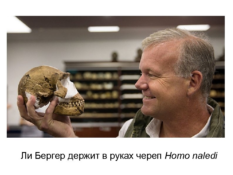 Ли Бергер держит в руках череп Homo naledi 