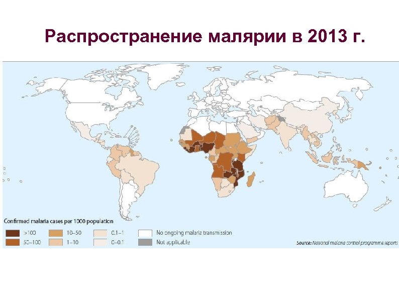 Малярия распространена. Карта распространения малярии в мире 2021. Малярия ареал распространения. Распространение малярии в России карта. Заболеваемость малярией диаграммы.