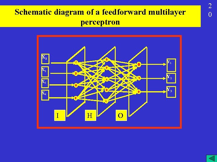 Schematic diagram of a feedforward multilayer perceptron X 1 Y 1 X 2 Y