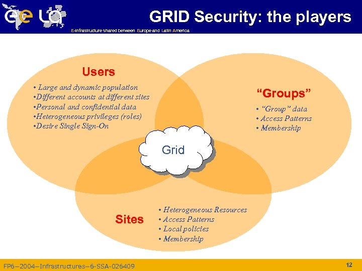 GRID Security: the players E-infrastructure shared between Europe and Latin America Users • Large