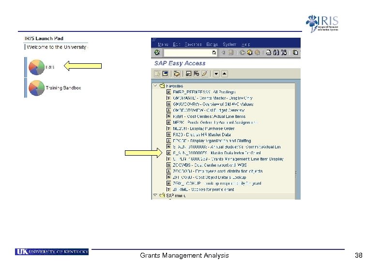 Grants Management Analysis 38 