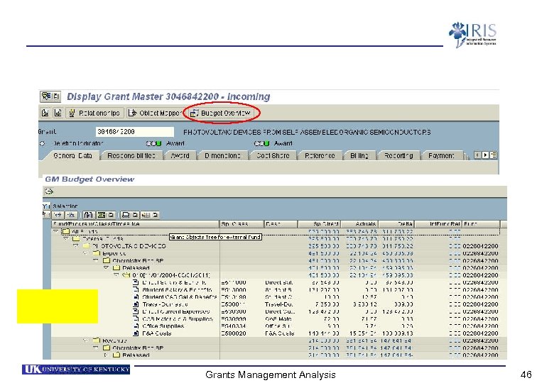 Grants Management Analysis 46 