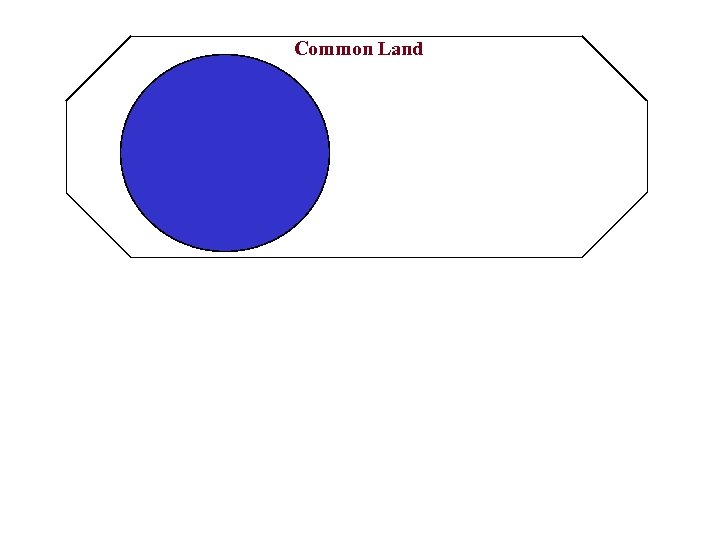 Common Land 