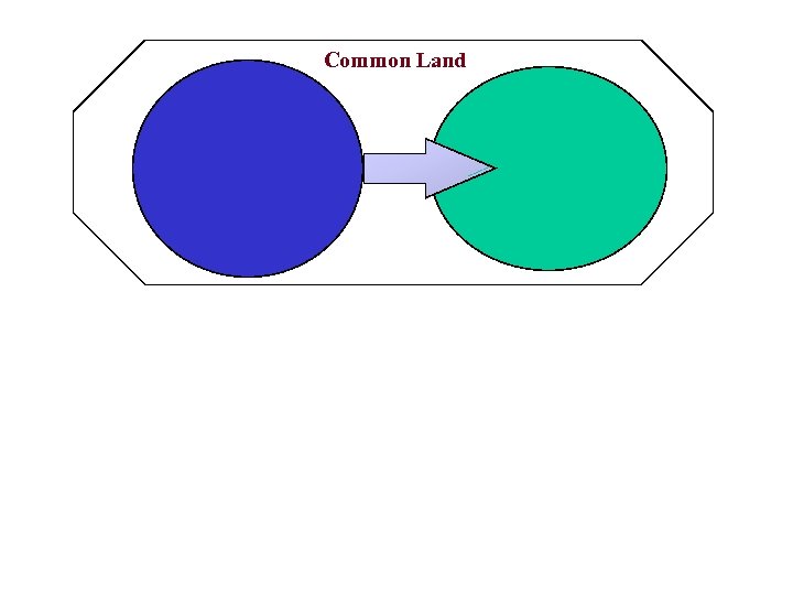 Common Land 