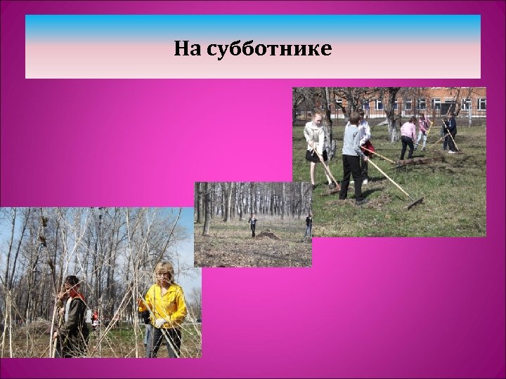 На субботнике 