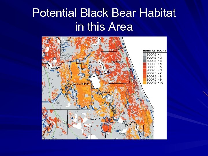 Potential Black Bear Habitat in this Area 