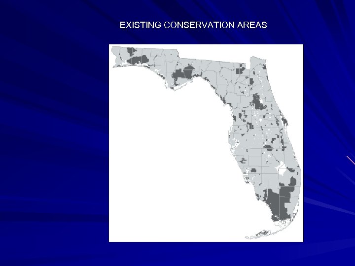 EXISTING CONSERVATION AREAS 