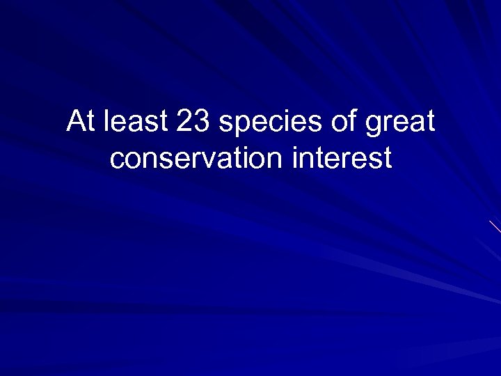 At least 23 species of great conservation interest 