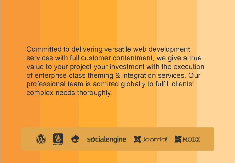 Committed to delivering versatile web development services with full customer contentment, we give a