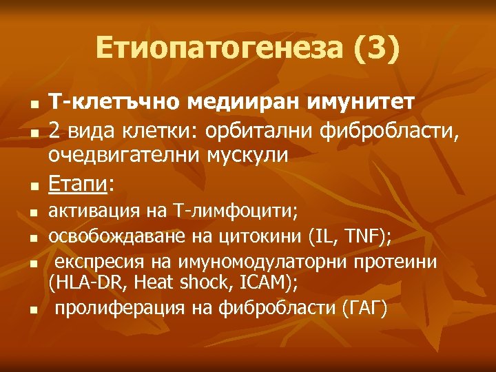 Етиопатогенеза (3) n n n n Т-клетъчно медииран имунитет 2 вида клетки: орбитални фибробласти,