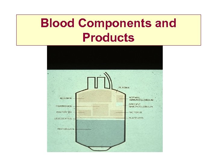 Blood Components and Products 