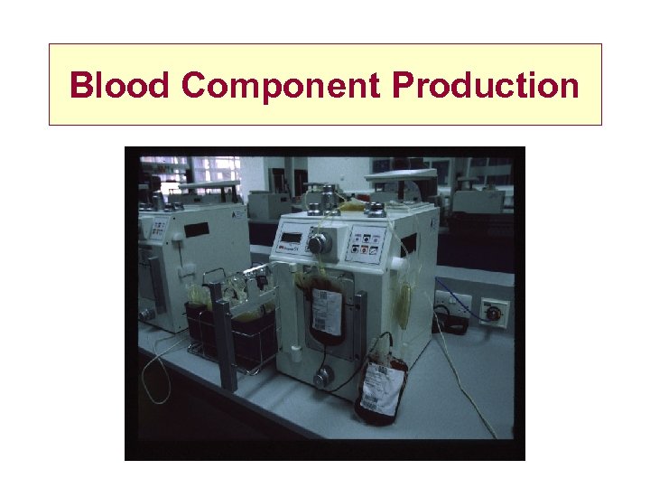 Blood Component Production 