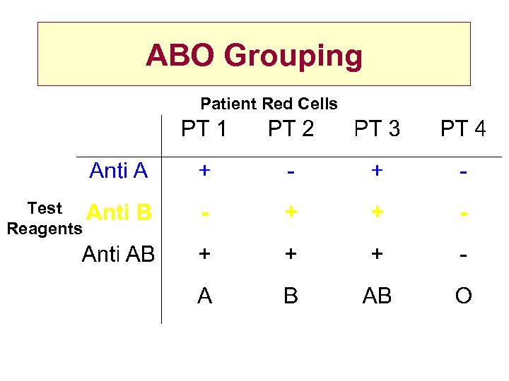 ABO Grouping Patient Red Cells Test Reagents 