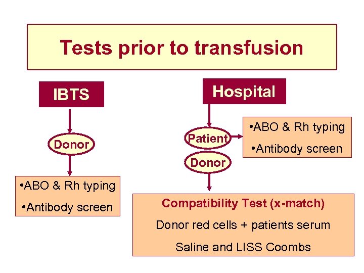 Tests prior to transfusion IBTS Donor Hospital Patient • ABO & Rh typing •