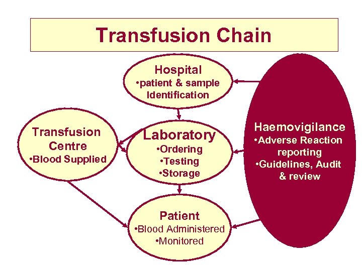 Transfusion Chain Hospital • patient & sample Identification Transfusion Centre • Blood Supplied Laboratory