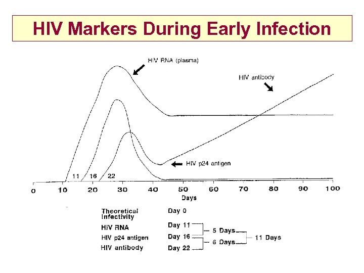 HIV Markers During Early Infection 