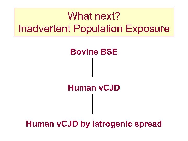 What next? Inadvertent Population Exposure Bovine BSE Human v. CJD by iatrogenic spread 