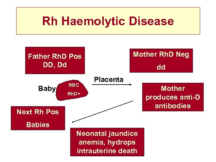 Rh Haemolytic Disease Mother Rh. D Neg Father Rh. D Pos DD, Dd Baby