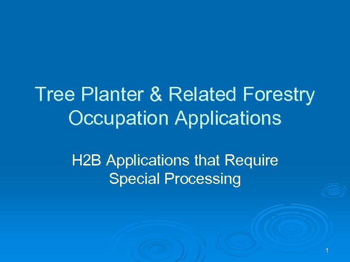 Tree Planter & Related Forestry Occupation Applications H 2 B Applications that Require Special