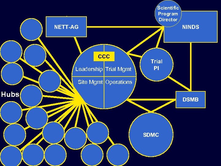 Scientific Program Director NETT-AG NINDS CCC Leadership Trial Mgmt Trial PI Site Mgmt Operations