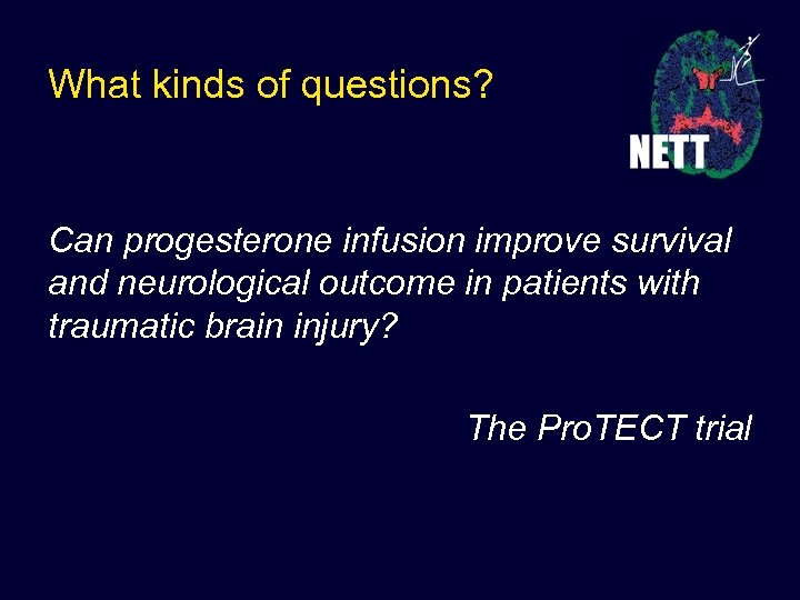 What kinds of questions? Can progesterone infusion improve survival and neurological outcome in patients