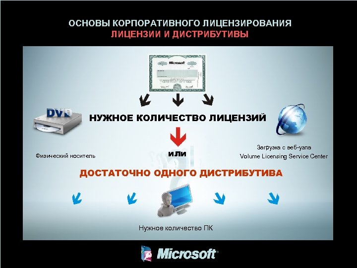 Количество лицензий. Дистрибутив и лицензия отличия.