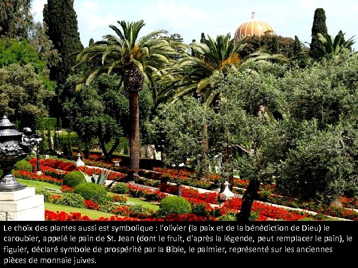 Le choix des plantes aussi est symbolique : l'olivier (la paix et de la