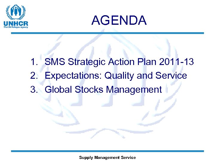 AGENDA 1. SMS Strategic Action Plan 2011 -13 2. Expectations: Quality and Service 3.