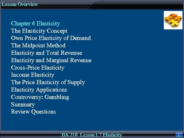 Lesson Overview Chapter 6 Elasticity The Elasticity Concept Own Price Elasticity of Demand The