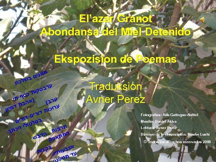 El’azar Granot Abondansa del Miel Detenido Ekspozision de Poemas ש לכת ת אנים ב