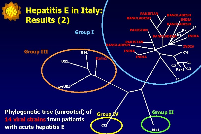 Hepatitis E in Italy: Results (2) PAKISTAN BANGLADESH INDIA BANGLADESH PAKISTAN Group I B