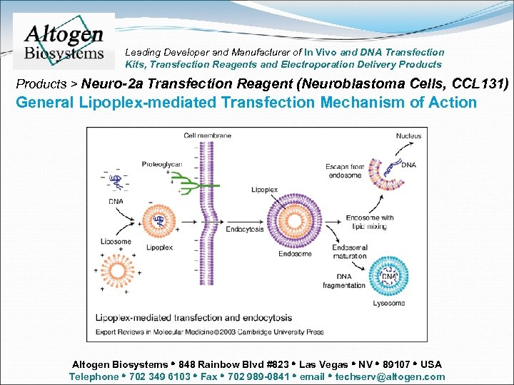 Leading Developer and Manufacturer of In Vivo and DNA Transfection Kits, Transfection Reagents and