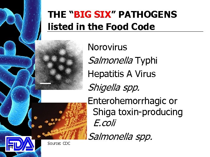 THE “BIG SIX” PATHOGENS listed in the Food Code Norovirus Salmonella Typhi Hepatitis A