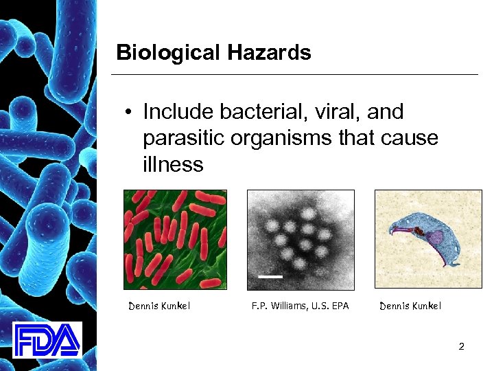 Biological Hazards • Include bacterial, viral, and parasitic organisms that cause illness Dennis Kunkel