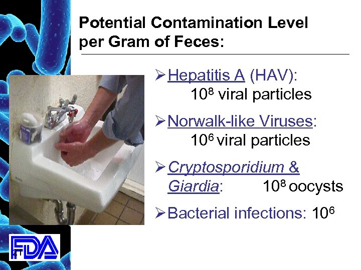 Potential Contamination Level per Gram of Feces: Ø Hepatitis A (HAV): 108 viral particles