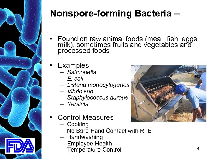 Nonspore-forming Bacteria – • Found on raw animal foods (meat, fish, eggs, milk), sometimes